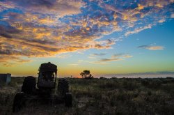 Tractor Sunset