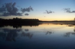 Reflections