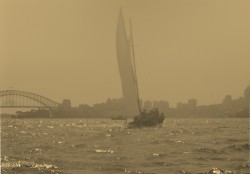Skiffs Of Sydney During Bushfires