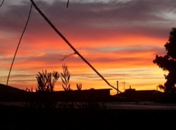 Summer Sunrise In Warrnambool