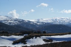 Perisher