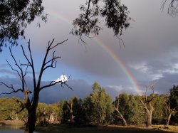 Welcome Rain