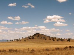The Hill