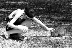 K And The Quoka