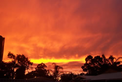 Bloody Sunset