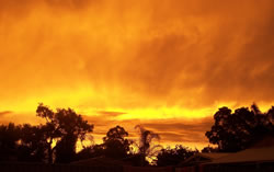 Golden Sunset
