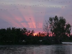 Billabong At Sunrise