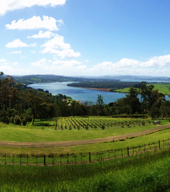 Tasmanian Beauty