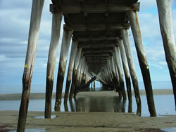 Under The Jetty