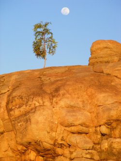 Red Rock