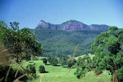 Mt Warning