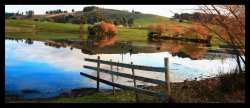 Autumn Hues