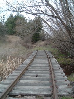 Lost Tracks