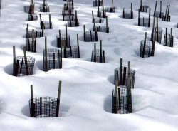 Snow Circles