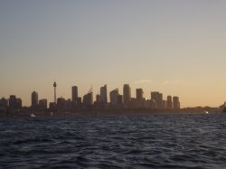 Sydney City Sunset