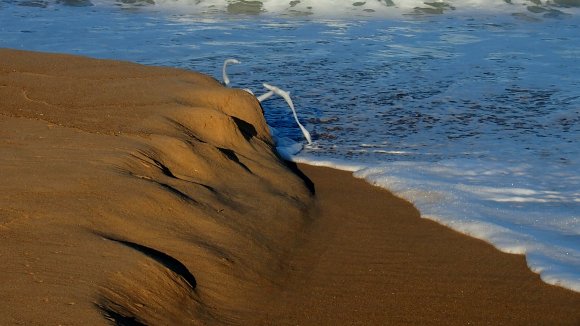 Beach Foam