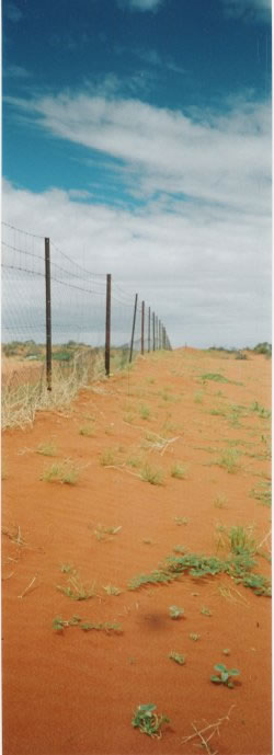 Dingo Proof Fence