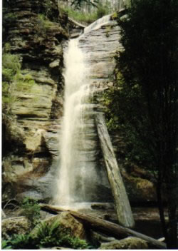 Tremendous Tasmania