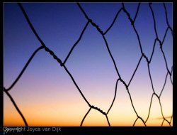 The Dogfence In Coober Pedy