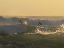 Dawn Activity