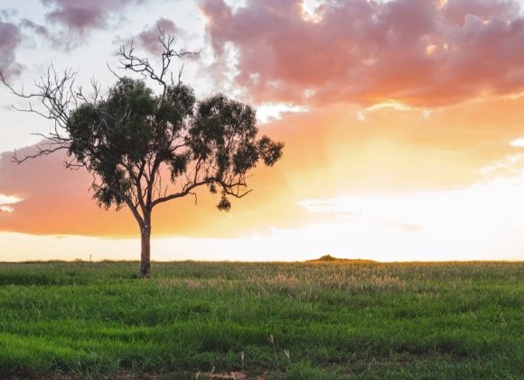 An Outback Sunset