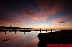 Coogee Beach Delight