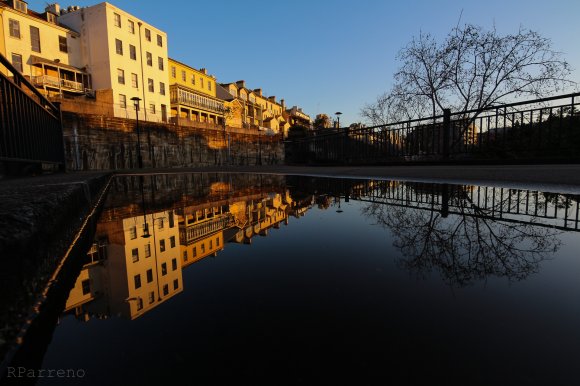 The Reflection
