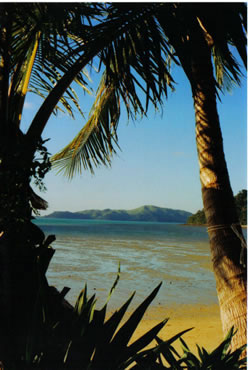Whitsunday Hinterland