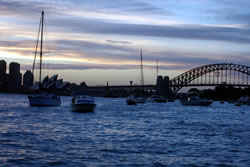 Harbour Nights