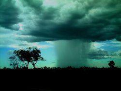 Darwin Rainstorm