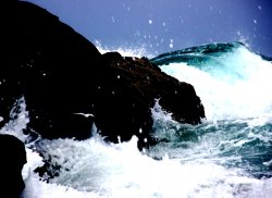 Splash