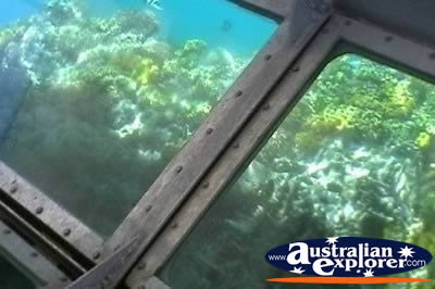 Glass Bottom Boat And Water . . . VIEW ALL CORAL (MORE TWO) PHOTOGRAPHS
