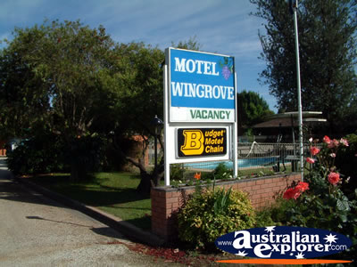 Corowa Motel Sign . . . CLICK TO VIEW ALL COROWA POSTCARDS