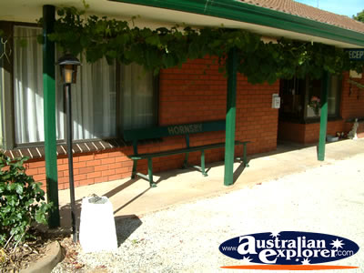 Corowa Motel . . . CLICK TO VIEW ALL COROWA POSTCARDS