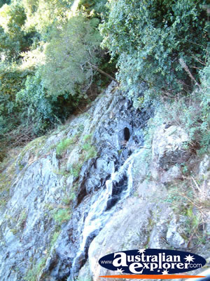 Dorrigo Waterfall on Roadside . . . CLICK TO VIEW ALL DORRIGO POSTCARDS