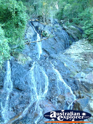 Dorrigo Waterfall - New South Wales on Roadside . . . CLICK TO VIEW ALL DORRIGO POSTCARDS