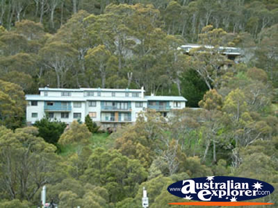 Thredbo View of House in Hill . . . CLICK TO VIEW ALL THREDBO POSTCARDS