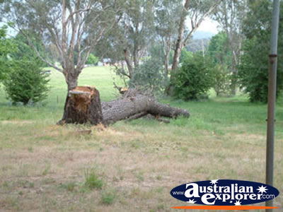 Tumut Go Cup School Grounds . . . CLICK TO VIEW ALL TUMUT POSTCARDS
