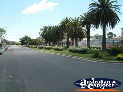 View Down Junee Street . . . CLICK TO VIEW ALL JUNEE POSTCARDS