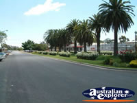 View Down Junee Street . . . CLICK TO ENLARGE