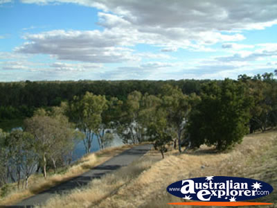 Narrandera Lake Talbot Caravan Park View . . . CLICK TO VIEW ALL NARRANDERA POSTCARDS