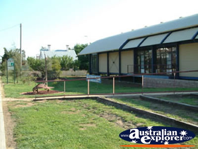 Canowindra Age of Fishes Museum . . . CLICK TO VIEW ALL CANOWINDRA POSTCARDS
