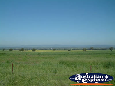 Grenfell to Canowindra View . . . CLICK TO VIEW ALL CANOWINDRA POSTCARDS