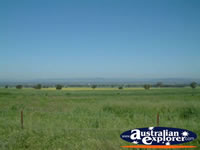 Grenfell to Canowindra View . . . CLICK TO ENLARGE