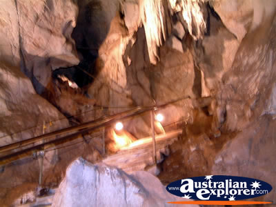 Wellington Caves Walking Track . . . CLICK TO VIEW ALL WELLINGTON CAVES POSTCARDS