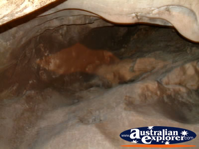 Wellington Caves Small Areas . . . CLICK TO VIEW ALL WELLINGTON CAVES POSTCARDS