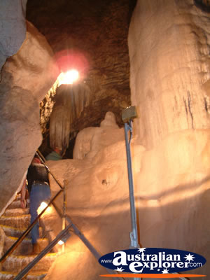 Wellington Caves Stairway . . . CLICK TO VIEW ALL WELLINGTON CAVES POSTCARDS