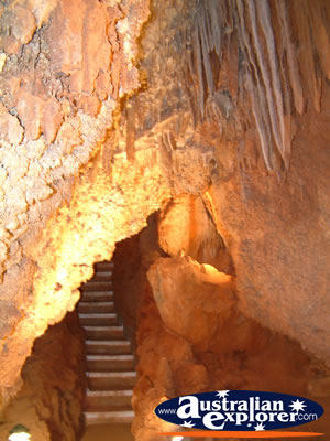 Wellington Caves Entry to Stairwell . . . CLICK TO VIEW ALL WELLINGTON CAVES POSTCARDS