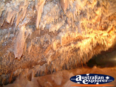 Sharp Rock in Wellington Caves . . . CLICK TO VIEW ALL WELLINGTON CAVES POSTCARDS