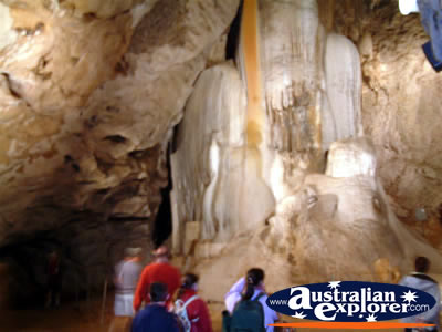 Wellington Caves Tour . . . CLICK TO VIEW ALL WELLINGTON CAVES POSTCARDS